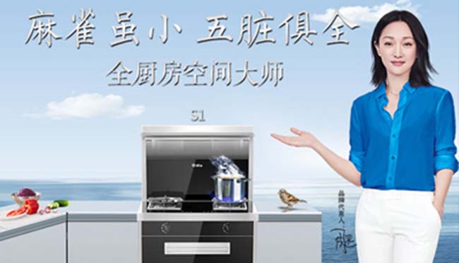 集成灶加盟