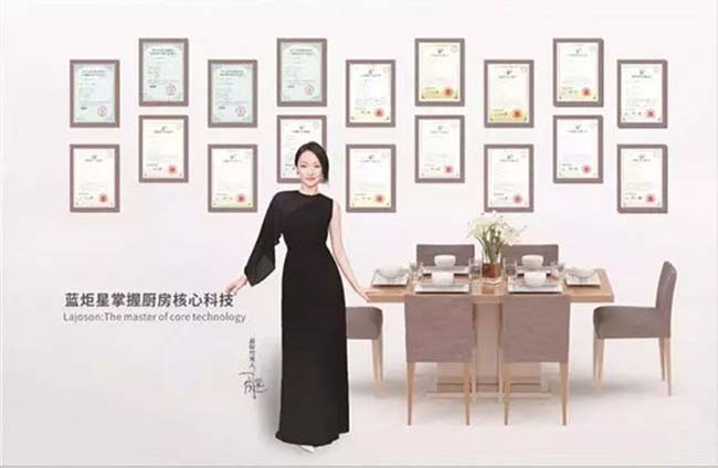 集成灶十大品牌,集成灶加盟代理哪個品牌 集成灶加盟圖